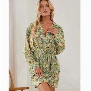 Rayne Ditsy fitted waist shirt collar dress